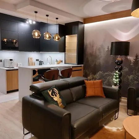 Smrecek Na Pajakowce Appartement Kościelisko