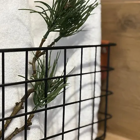 Smrecek Na Pajakowce Appartement Kościelisko